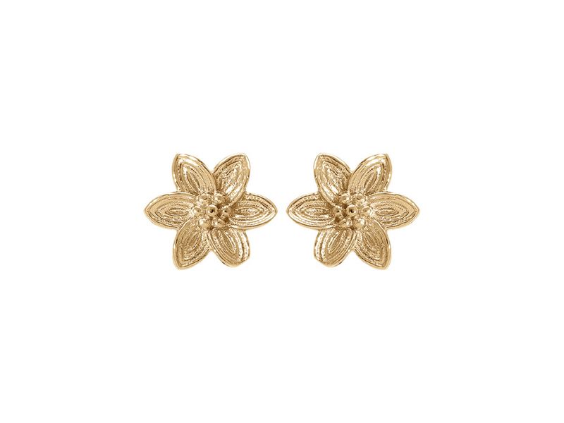 BOUCLES D'OREILLES ARGENT DORURE JAUNE
